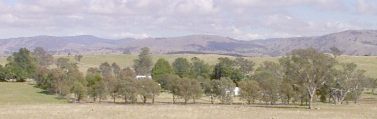 Near Yass, New South Wales, Australia