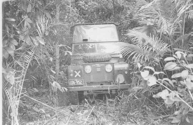 Ambulance in jungle at Tully, North Queensland 1960.
